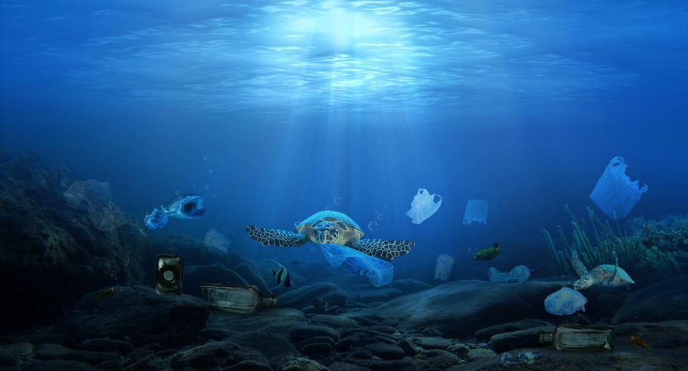 The Growing Threat of Plastic Pollution and How You Can Make a Difference