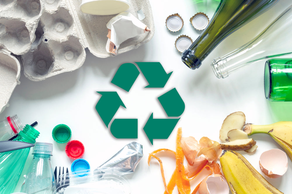 Recycling: Understanding Its Importance and Benefits