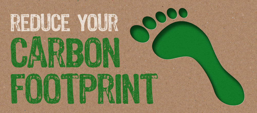 Reducing Your Carbon Footprint with Sustainable Trash Can Solutions