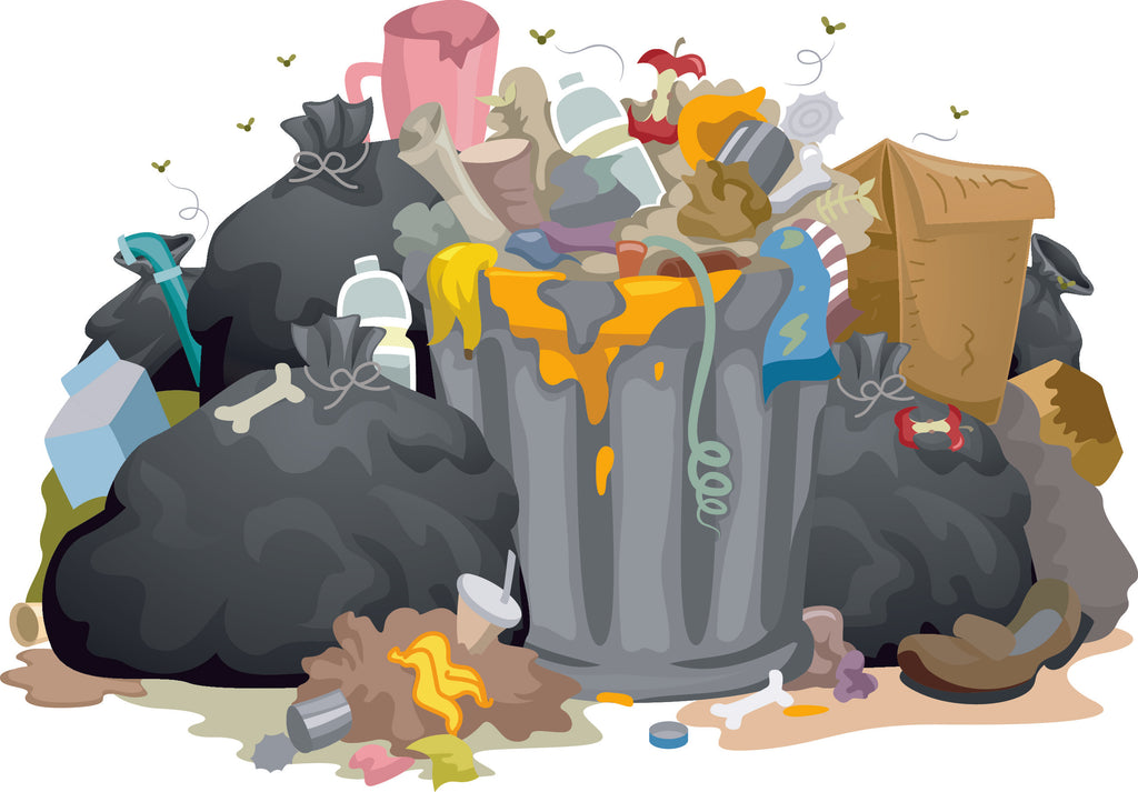 Trash Can Maintenance 101: Keeping Your Bins Clean and Odor-Free